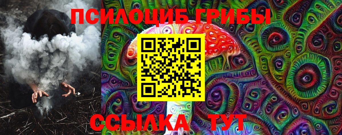 Псилоцибиновые грибы Psilocybe Углич